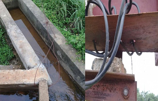 Mang nước ra đồng cho mẹ, ch&aacute;u b&eacute; bị điện giật chết thương t&acirc;m - Ảnh 1.