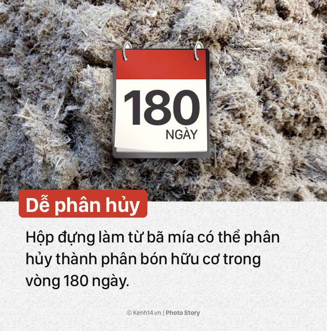 &Yacute; tưởng n&agrave;y sẽ gi&uacute;p bạn n&oacute;i kh&ocirc;ng với hộp xốp đựng thức ăn độc hại - Ảnh 1.