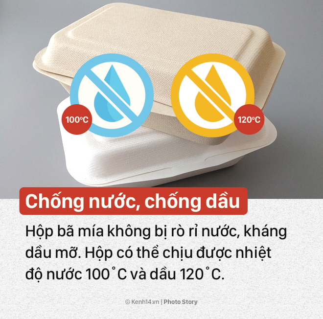 &Yacute; tưởng n&agrave;y sẽ gi&uacute;p bạn n&oacute;i kh&ocirc;ng với hộp xốp đựng thức ăn độc hại - Ảnh 3.