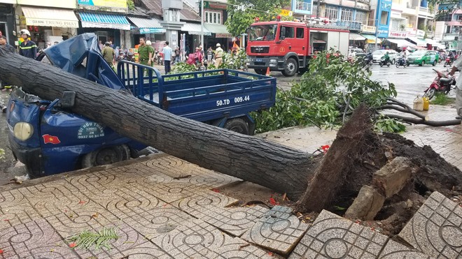 Hàng loạt cây xanh bật gốc đè nát ô tô, bảng hiệu bị hất bay tứ tung trên phố Sài Gòn vì gió lớn - Ảnh 2.