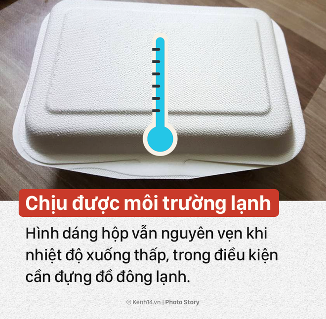 &Yacute; tưởng n&agrave;y sẽ gi&uacute;p bạn n&oacute;i kh&ocirc;ng với hộp xốp đựng thức ăn chất lượng k&eacute;m  - Ảnh 9.
