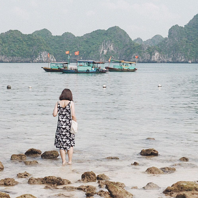 Hè này không đến thăm vịnh Lan Hạ - thiên đường bị bỏ quên ở Hải Phòng là cả một niềm tiếc nuối đấy! - Ảnh 2.