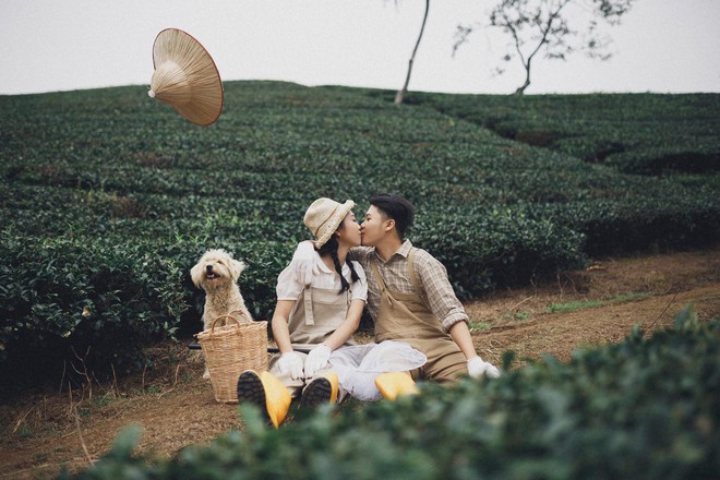 Cặp đ&ocirc;i trẻ đang chụp ảnh th&igrave; c&oacute; ch&uacute; ch&oacute; ra chơi, ai d&egrave; xinh qu&aacute; n&ecirc;n ẻm th&agrave;nh nh&acirc;n vật ch&iacute;nh lu&ocirc;n! - Ảnh 1.