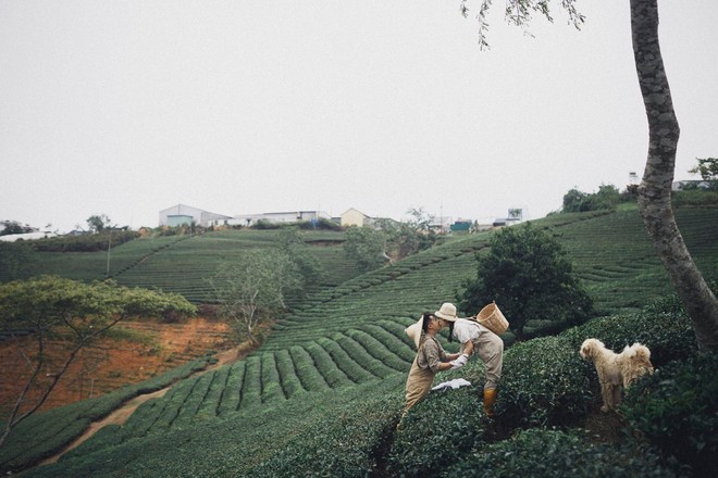 Cặp đ&ocirc;i trẻ đang chụp ảnh th&igrave; c&oacute; ch&uacute; ch&oacute; ra chơi, ai d&egrave; xinh qu&aacute; n&ecirc;n ẻm th&agrave;nh nh&acirc;n vật ch&iacute;nh lu&ocirc;n! - Ảnh 4.