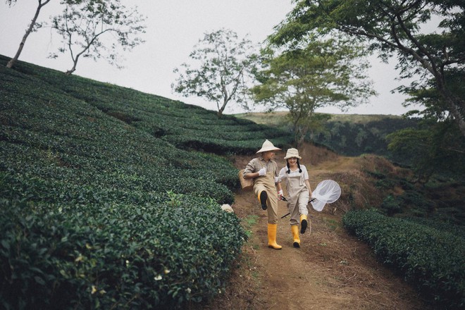 Cặp đôi trẻ đang chụp ảnh thì có chú chó ra chơi, ai dè xinh quá nên ẻm thành nhân vật chính luôn! - Ảnh 10.