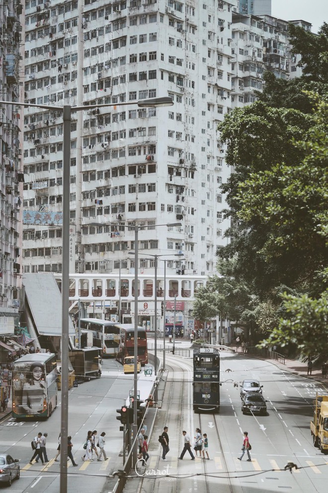 Bộ ảnh: Ngắm nh&igrave;n vẻ đẹp ho&agrave;i cổ của những chiếc xe điện trăm năm tuổi của Hongkong - Ảnh 3.