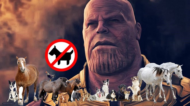 Thêm một sự thật về độ tàn nhẫn của Thanos được tiết lộ: Búng tay rút gọn phân số cả người lẫn thú! - Ảnh 1.