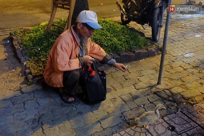 Câu chuyện đáng yêu về chú vịt con lon ton theo sau ông lão vé số ở Sài Gòn: Từ ngày con quỷ sứ này chạy theo, ông thấy vui hơn nhiều - Ảnh 2.