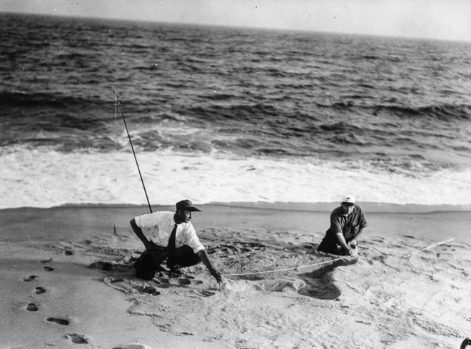 Rắn khổng lồ Nantucket 1937: Con quái vật biển gây rúng động giới khoa học, làm dân tình khiếp sợ xanh mặt hóa ra chỉ là... bong bóng đồ chơi - Ảnh 1.