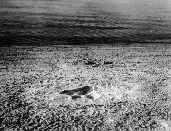 Rắn khổng lồ Nantucket 1937: Con quái vật biển gây rúng động giới khoa học, làm dân tình khiếp sợ xanh mặt hóa ra chỉ là... bong bóng đồ chơi - Ảnh 2.