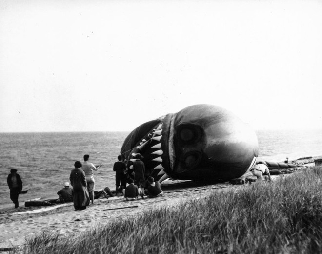 Rắn khổng lồ Nantucket 1937: Con quái vật biển gây rúng động giới khoa học, làm dân tình khiếp sợ xanh mặt hóa ra chỉ là... bong bóng đồ chơi - Ảnh 4.