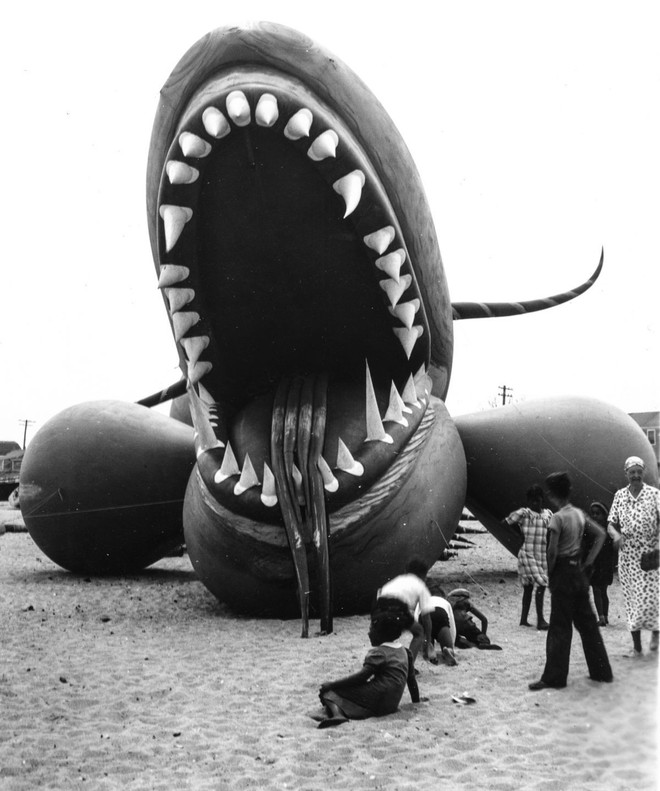 Rắn khổng lồ Nantucket 1937: Con quái vật biển gây rúng động giới khoa học, làm dân tình khiếp sợ xanh mặt hóa ra chỉ là... bong bóng đồ chơi - Ảnh 5.