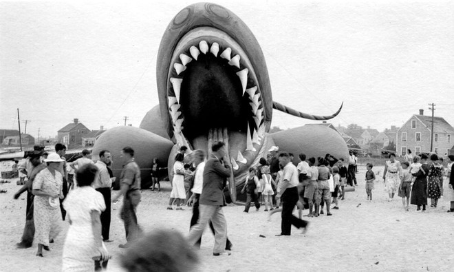 Rắn khổng lồ Nantucket 1937: Con quái vật biển gây rúng động giới khoa học, làm dân tình khiếp sợ xanh mặt hóa ra chỉ là... bong bóng đồ chơi - Ảnh 6.