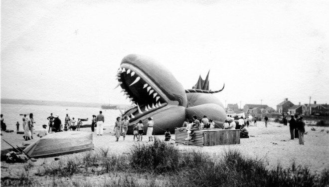 Rắn khổng lồ Nantucket 1937: Con quái vật biển gây rúng động giới khoa học, làm dân tình khiếp sợ xanh mặt hóa ra chỉ là... bong bóng đồ chơi - Ảnh 11.
