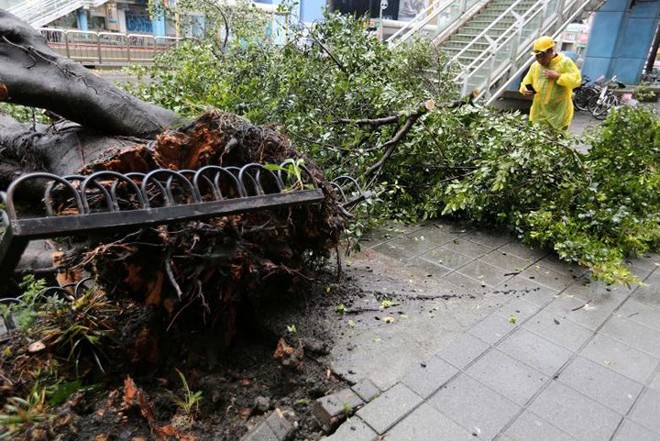 Ảnh: Bão Maria dữ dội tấn công Trung Quốc - Ảnh 6.