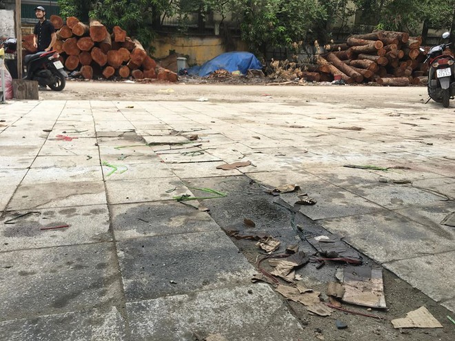 Vụ c&ocirc; g&aacute;i bị lột đồ, đổ mắm t&ocirc;m v&agrave; dầu luyn l&ecirc;n người: Người phụ nữ đi SH giằng co chiếc v&iacute; với c&ocirc; g&aacute;i v&agrave; n&oacute;i N&oacute; cho m&agrave;y bao nhi&ecirc;u tiền? - Ảnh 1.