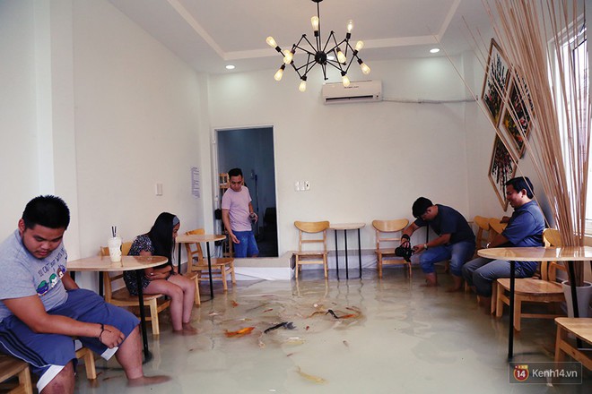 Chủ qu&aacute;n cafe S&agrave;i G&ograve;n cho kh&aacute;ch cởi gi&agrave;y, ng&acirc;m ch&acirc;n dưới hồ c&aacute;: C&oacute; nội quy cho kh&aacute;ch, ch&uacute;ng t&ocirc;i c&ograve;n cử 8 nh&acirc;n vi&ecirc;n t&uacute;c trực 24/24 theo d&otilde;i c&aacute; - Ảnh 1.