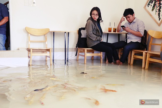 Chủ qu&aacute;n cafe S&agrave;i G&ograve;n cho kh&aacute;ch cởi gi&agrave;y, ng&acirc;m ch&acirc;n dưới hồ c&aacute;: C&oacute; nội quy cho kh&aacute;ch, ch&uacute;ng t&ocirc;i c&ograve;n cử 8 nh&acirc;n vi&ecirc;n t&uacute;c trực 24/24 theo d&otilde;i c&aacute; - Ảnh 6.