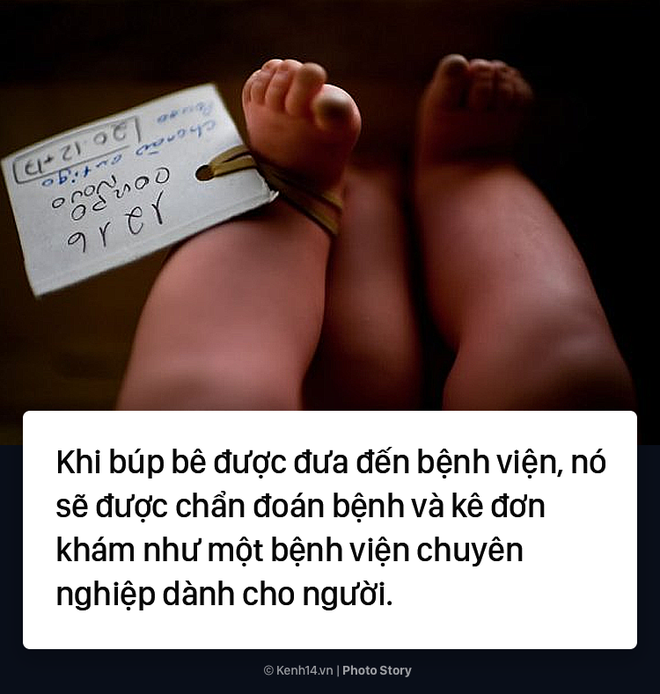 Choáng ngợp với bệnh viện búp bê chuyên nghiệp như dành cho con người - Ảnh 5.