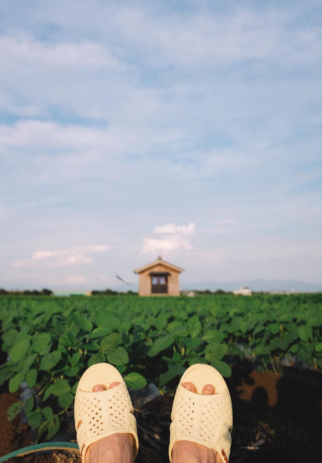 Th&aacute;nh d&eacute;p tổ ong t&aacute;i xuất với bộ ảnh mới, lần n&agrave;y l&agrave; rong ruổi miền Bắc nước Nhật xinh đẹp - Ảnh 1.