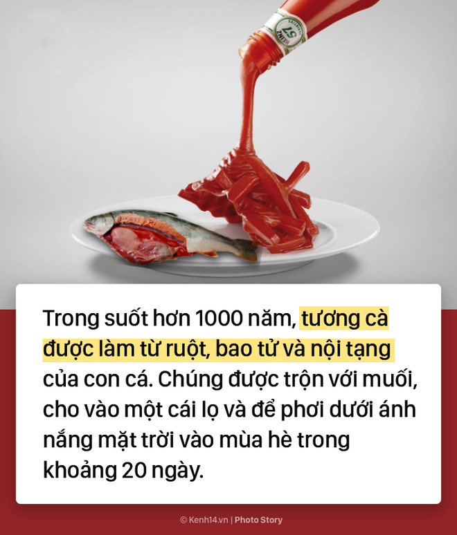 Không phải cà chua, ruột cá mới là nguyên liệu ban đầu của ketchup - Ảnh 3.