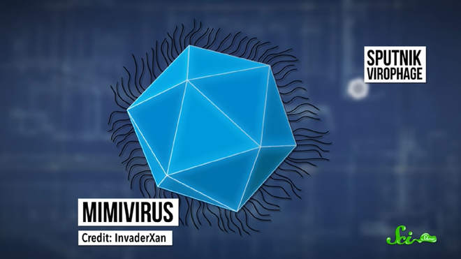Sputnik - con virus g&acirc;y sốc cho to&agrave;n bộ giới nghi&ecirc;n cứu khoa học bằng c&aacute;ch k&iacute; sinh l&ecirc;n&hellip; một virus kh&aacute;c - Ảnh 4.