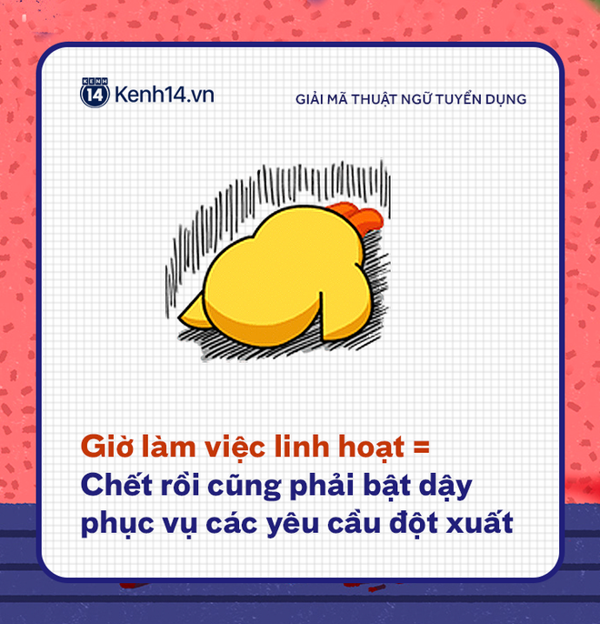 Phi&ecirc;n dịch ng&ocirc;n ngữ tuyển dụng: Anh em đừng tin họ lừa đấy! - Ảnh 5.