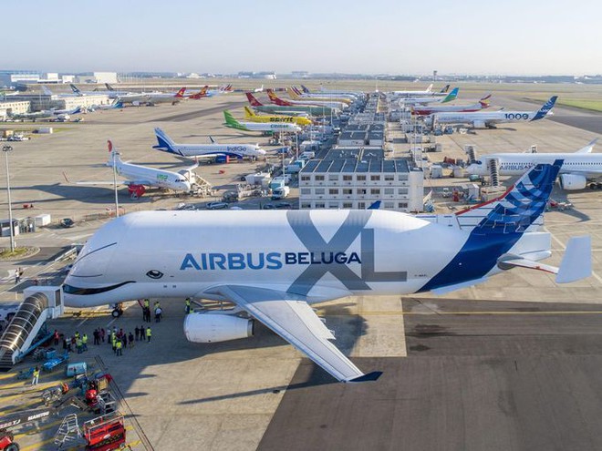 Máy bay đầu to như con cá voi của Airbus có đầy đủ mắt mũi miệng, tên cũng có nghĩa là cá voi luôn! - Ảnh 3.