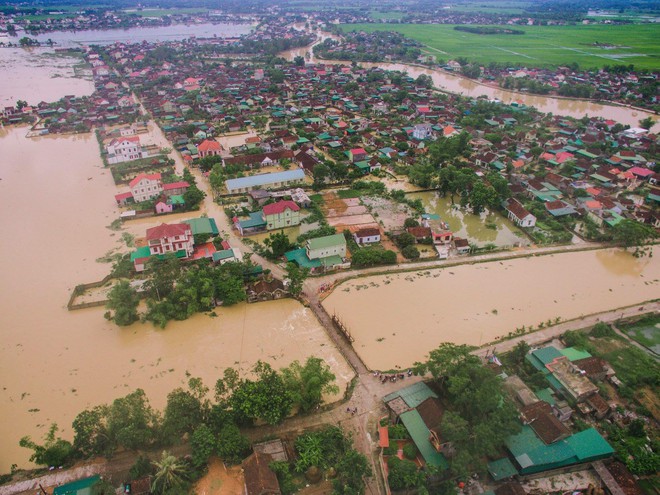 Hình ảnh chú chó với chiếc phao tự chế và câu chuyện phía sau về mưa lũ miền Trung khiến nhiều người nhói lòng - Ảnh 4.