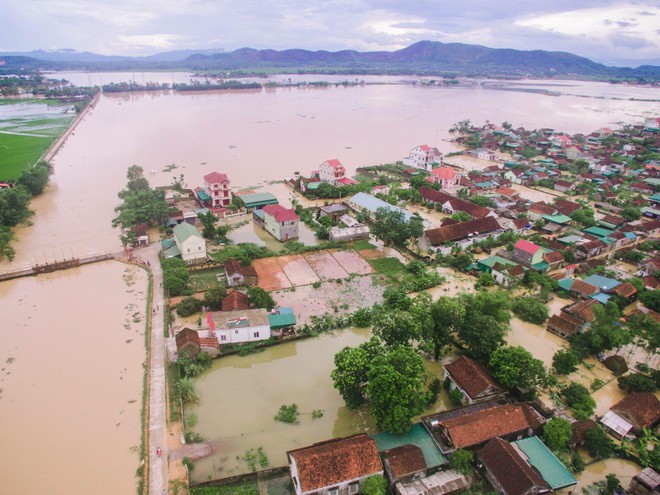 Hình ảnh chú chó với chiếc phao tự chế và câu chuyện phía sau về mưa lũ miền Trung khiến nhiều người nhói lòng - Ảnh 3.