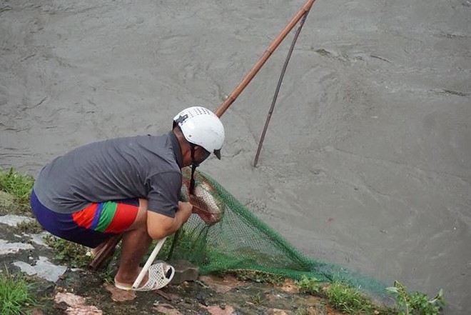Người dân Hà Nội đổ xô ra sông bắt cá sau cơn mưa - Ảnh 2.