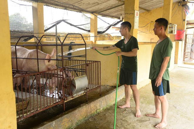 Sao nhập ngũ: Juun Đăng Dũng hoảng hốt khi phải đi dọn chuồng heo - Ảnh 3.