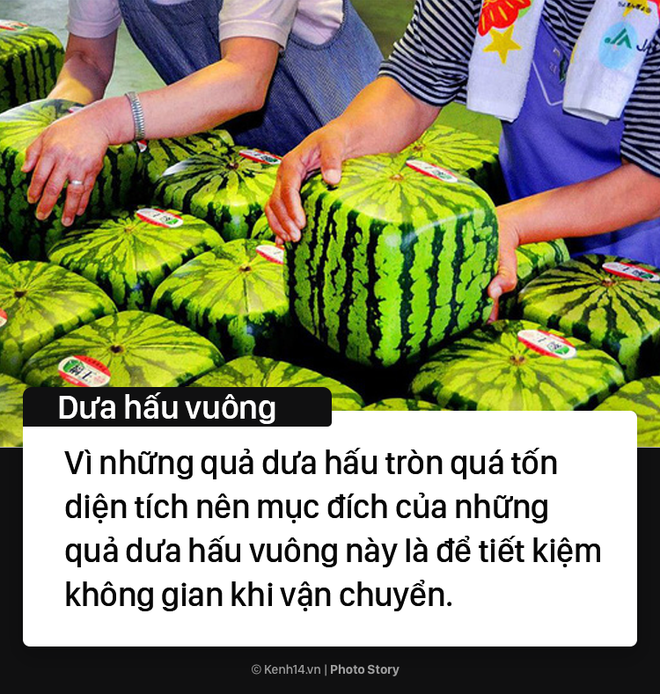 11 s&aacute;ng kiến th&uacute; vị, kỳ lạ m&agrave; chỉ Nhật Bản mới c&oacute; - Ảnh 10.
