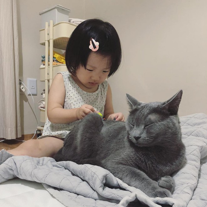 C&acirc;u chuyện hai con m&egrave;o v&agrave; hai đứa trẻ khiến MXH dậy s&oacute;ng: Đừng bao giờ n&oacute;i trẻ con c&oacute; biết g&igrave; đ&acirc;u! - Ảnh 6.