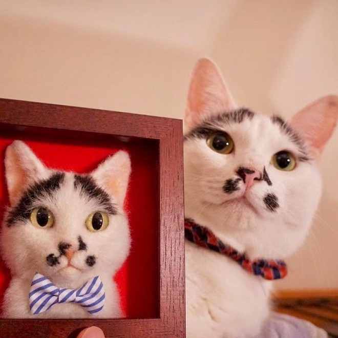 Chỉ bằng những sợi len, các nghệ nhân Nhật Bản đã tạo ra những chú mèo bông y chang ngoài đời - Ảnh 5.