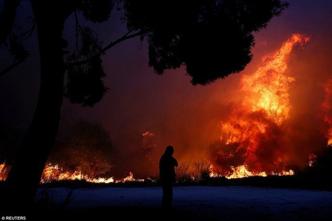 Thủ đô Hy Lạp rực lửa, ít nhất 24 người chết và hàng trăm người bị thương do cháy rừng - Ảnh 5.