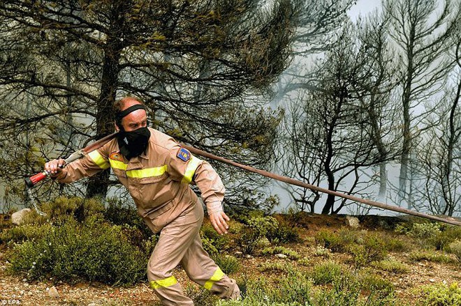 Cháy rừng ở Hy Lạp: Người dân tháo chạy khỏi biển lửa, số người chết tăng lên 74 - Ảnh 3.