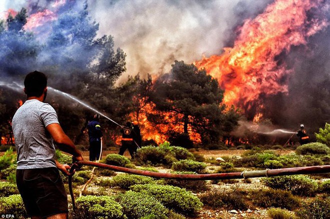 Cháy rừng ở Hy Lạp: Người dân tháo chạy khỏi biển lửa, số người chết tăng lên 74 - Ảnh 4.
