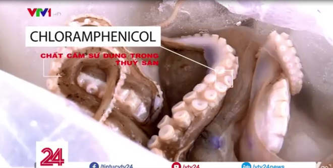 Vụ “biến bạch tuộc đen thành trắng tinh sau 30 phút: Chủ một mực chối, nhân viên khai “Nếu em ăn thì em không cho cái chất đấy vào!” - Ảnh 2.