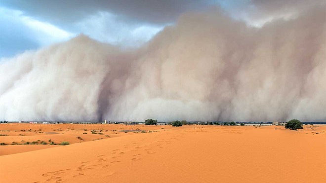 Những sự thật &iacute;t người biết về sa mạc Sahara - n&oacute;ng bỏng, đi&ecirc;n rồ nhưng kỳ diệu bậc nhất h&agrave;nh tinh - Ảnh 4.