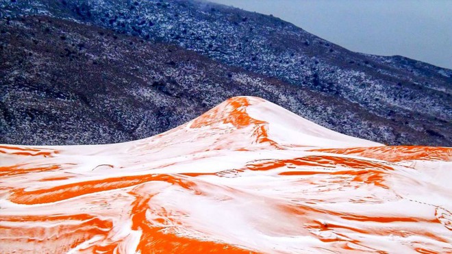 Những sự thật &iacute;t người biết về sa mạc Sahara - n&oacute;ng bỏng, đi&ecirc;n rồ nhưng kỳ diệu bậc nhất h&agrave;nh tinh - Ảnh 3.