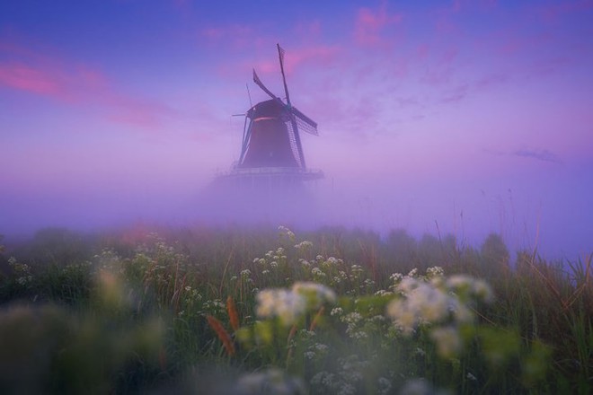 Làng cối xay gió ở Hà Lan chìm trong sương mù huyền ảo như cổ tích - Ảnh 1.