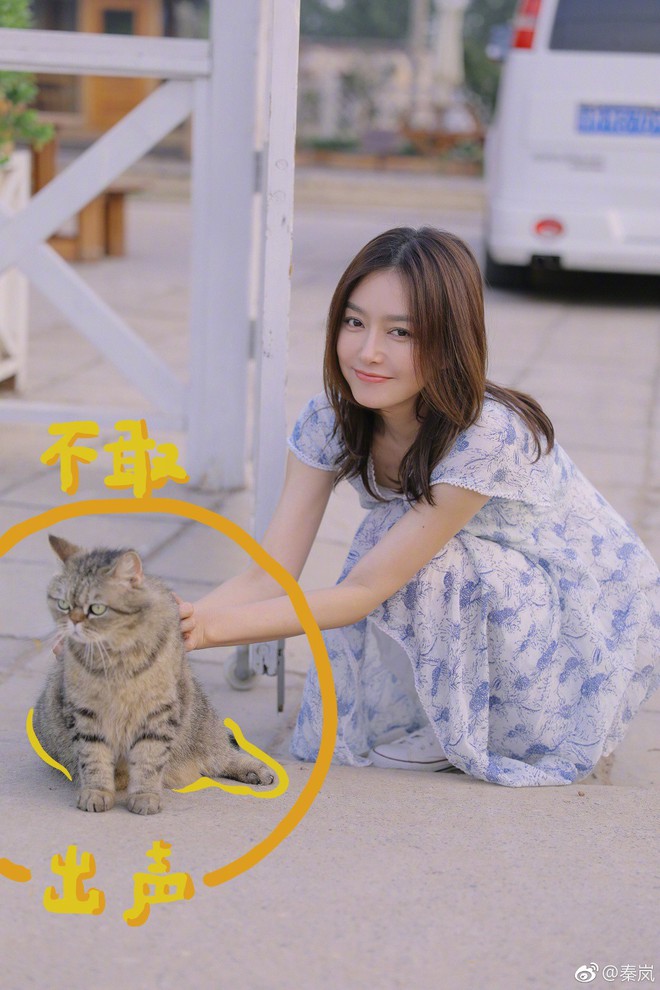 Nhan sắc l&atilde;o ho&aacute; ngược của Ph&uacute; S&aacute;t Ho&agrave;ng hậu Tần Lam: Trẻ trung như thiếu nữ d&ugrave; đ&atilde; U40 - Ảnh 9.