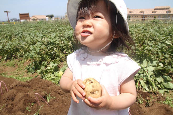 Thực phẩm đầu mùa đắt như vàng người Nhật cũng tranh nhau mua cho bằng được chỉ vì niềm tin kỳ lạ xuất phát từ một tử tù - Ảnh 5.