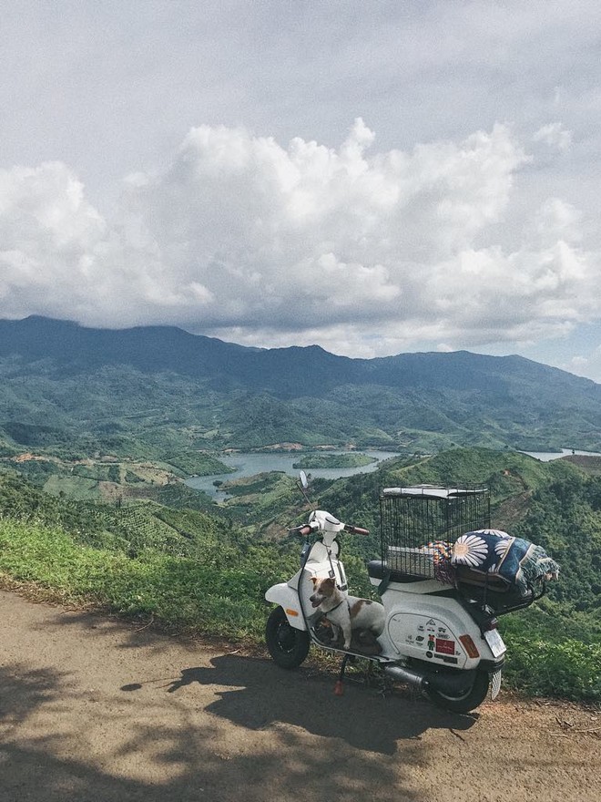 Chàng trai Sài Gòn chế lồng trên xe Vespa cho thú cưng đi phượt đã đời - Ảnh 3.