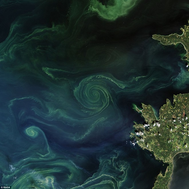 NASA phát hiện vòng xoáy khổng lồ trên biển Baltic - tưởng bình thường nhưng hóa ra là vùng tử thần - Ảnh 2.