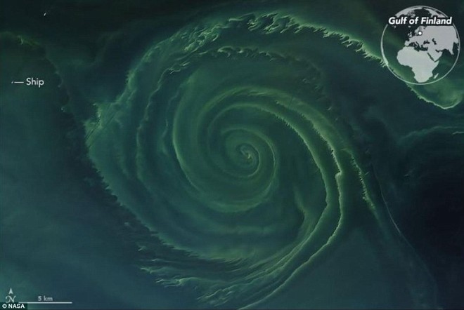 NASA phát hiện vòng xoáy khổng lồ trên biển Baltic - tưởng bình thường nhưng hóa ra là vùng tử thần - Ảnh 1.