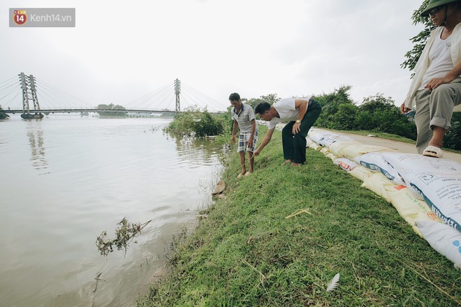 Những ngày lênh đênh ở Chương Mỹ: Trâu bò lặn ngụp, vịt trèo lên những mái nhà khi nước dâng đến tận nóc - Ảnh 12.