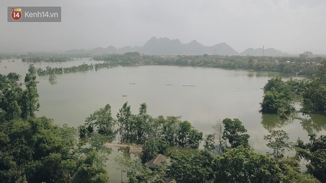 Những ngày lênh đênh ở Chương Mỹ: Trâu bò lặn ngụp, vịt trèo lên những mái nhà khi nước dâng đến tận nóc - Ảnh 3.