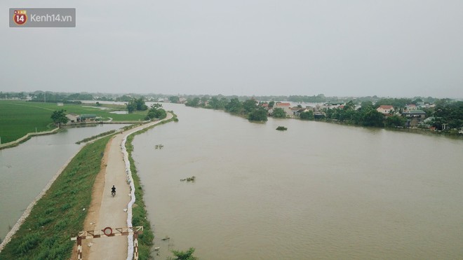 Những ngày lênh đênh ở Chương Mỹ: Trâu bò lặn ngụp, vịt trèo lên những mái nhà khi nước dâng đến tận nóc - Ảnh 15.